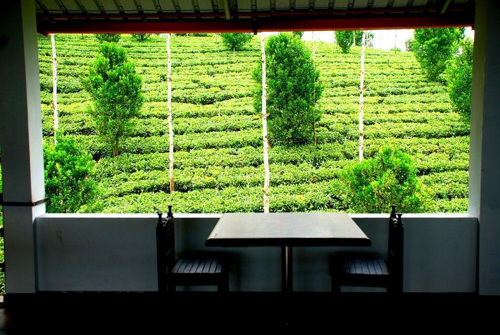 Dream Catcher Resort Munnar Bagian luar foto