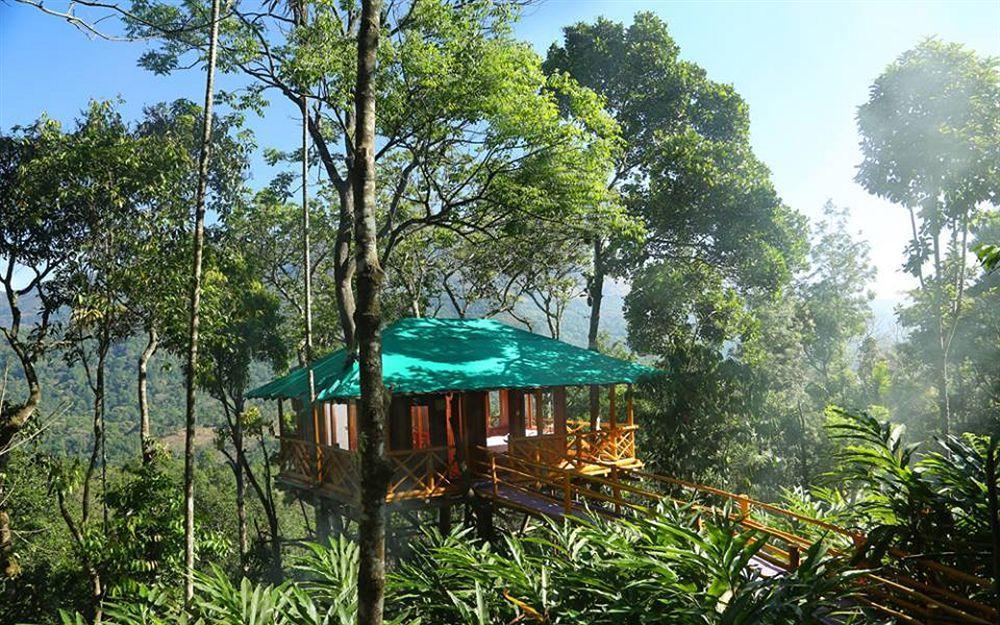 Dream Catcher Resort Munnar Bagian luar foto