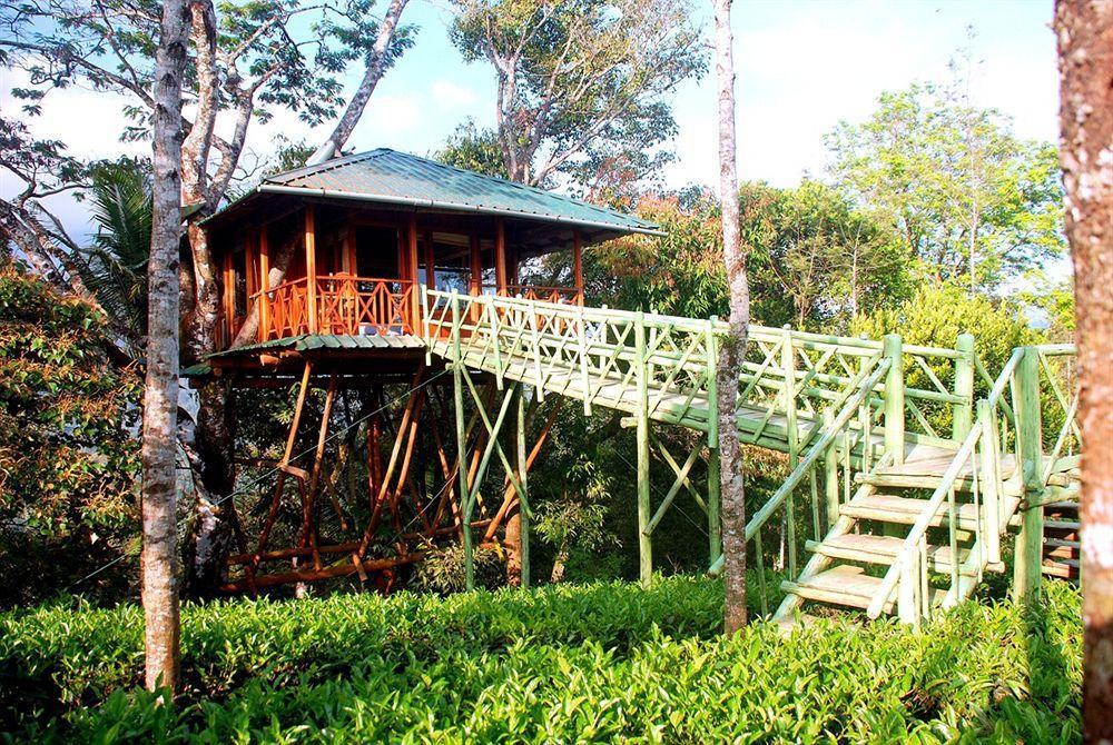 Dream Catcher Resort Munnar Bagian luar foto