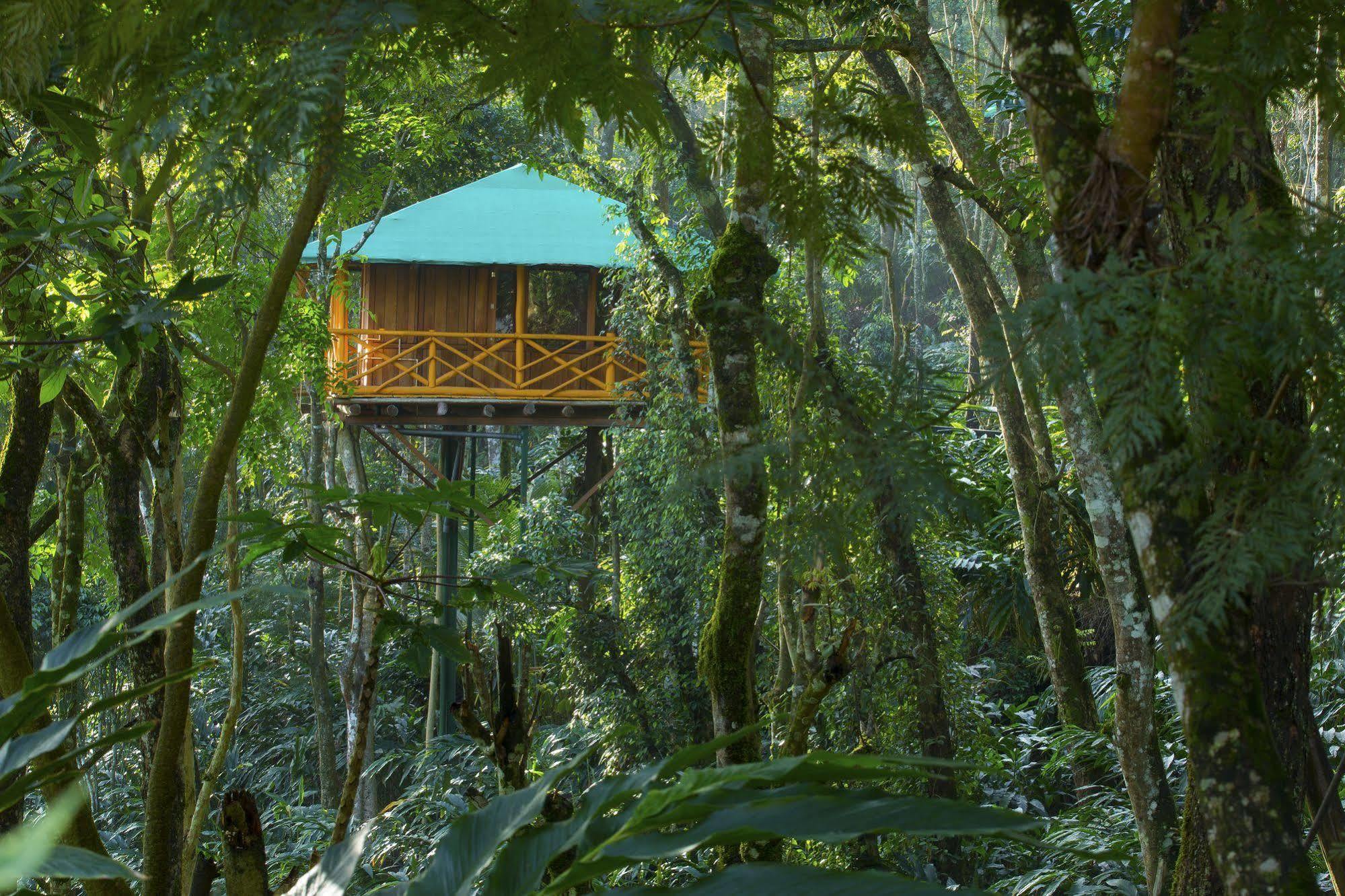Dream Catcher Resort Munnar Bagian luar foto