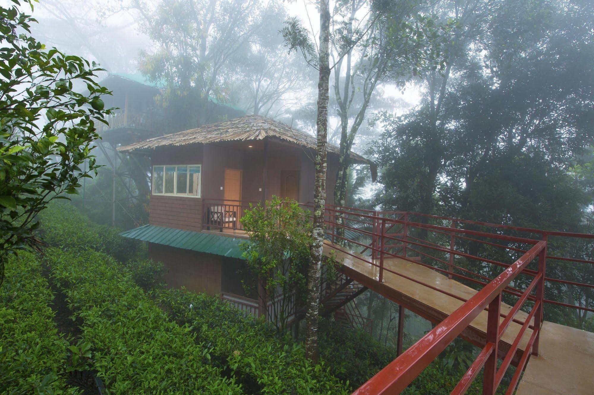 Dream Catcher Resort Munnar Bagian luar foto